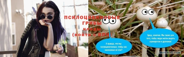 СК Алзамай