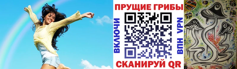 Купить  Якутск  Галлюциногенные грибы GOLDEN TEACHER 